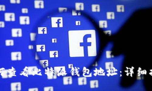 如何查看比特派钱包地址：详细指南