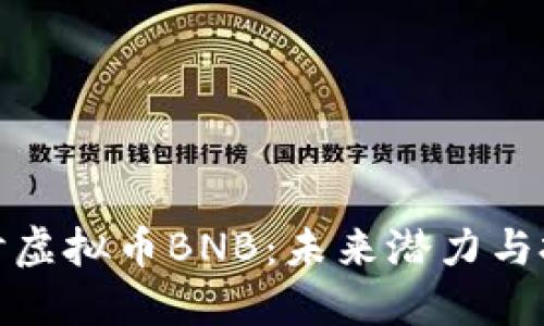 深入探讨虚拟币BNB：未来潜力与投资机会