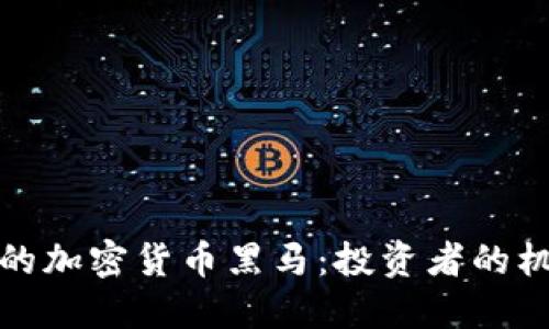 未来可期的加密货币黑马：投资者的机会与风险
