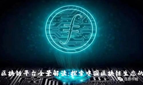 国内区块链平台全景解读：探索中国区块链生态的未来