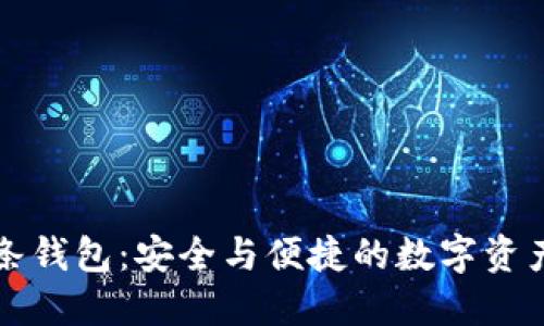 区块链双链条钱包：安全与便捷的数字资产管理新选择