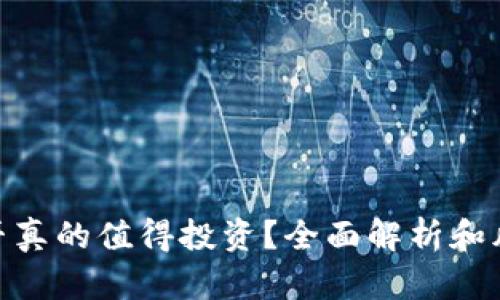 Pi币是否真的值得投资？全面解析和风险评估