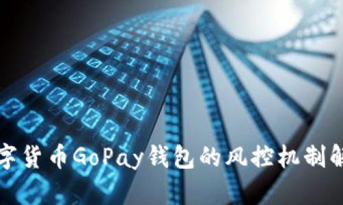 数字货币GoPay钱包的风控机制解析