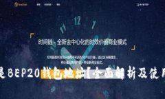 什么是BEP20钱包地址？全面解析及使用指南
