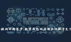 数字钱包APP的崛起与发展趋势在我们日常生活中