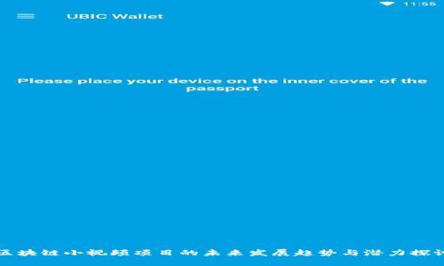 区块链小视频项目的未来发展趋势与潜力探讨