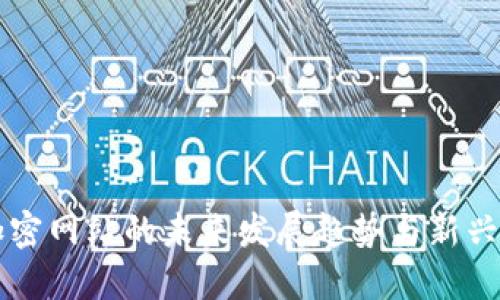 区块链加密网站的未来发展趋势与新兴平台探索