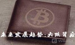 数字货币市场未来发展趋势：大跌背后的机遇与