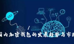азвитие/азвитие  未来国内加密钱包的发展