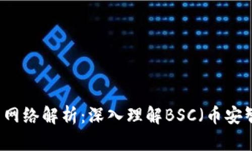 币圈主网络解析：深入理解BSC（币安智能链）