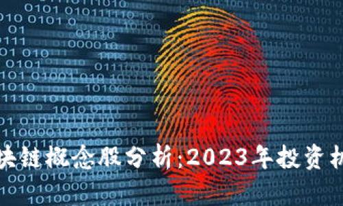 真正的区块链概念股分析：2023年投资机会与风险
