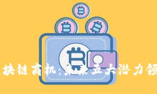 下一个区块链商机：未来五大潜力领域及应用