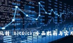 如何玩转 BitDisk：全面指南与实用技巧