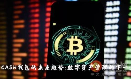KCASH钱包的未来趋势：数字资产管理的下一步