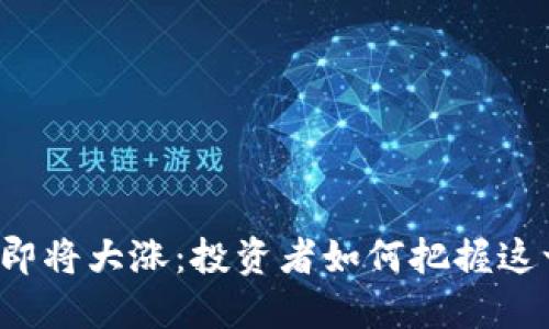 以太坊即将大涨：投资者如何把握这一机遇？