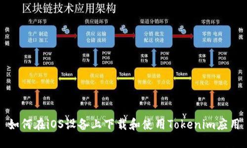 如何在iOS设备上下载和使用Tokenim应用