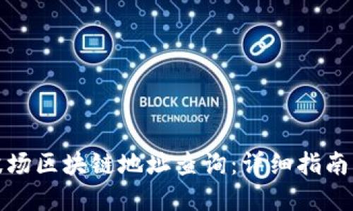 如何进行波场区块链地址查询：详细指南与实用工具