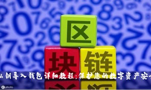 私钥导入钱包详细教程：保护您的数字资产安全
